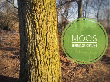 Read more about the article Papa wieso wächst Moos nur auf der Nordseite am Baum?