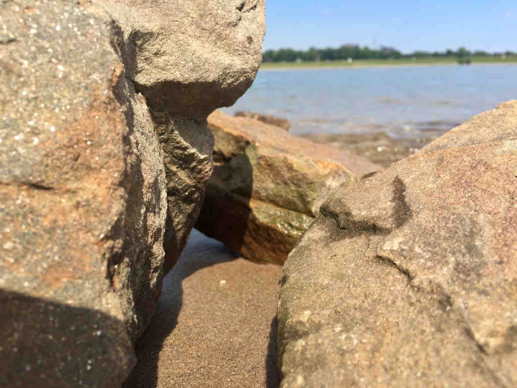 Mit den Kindern auf zum Rhein